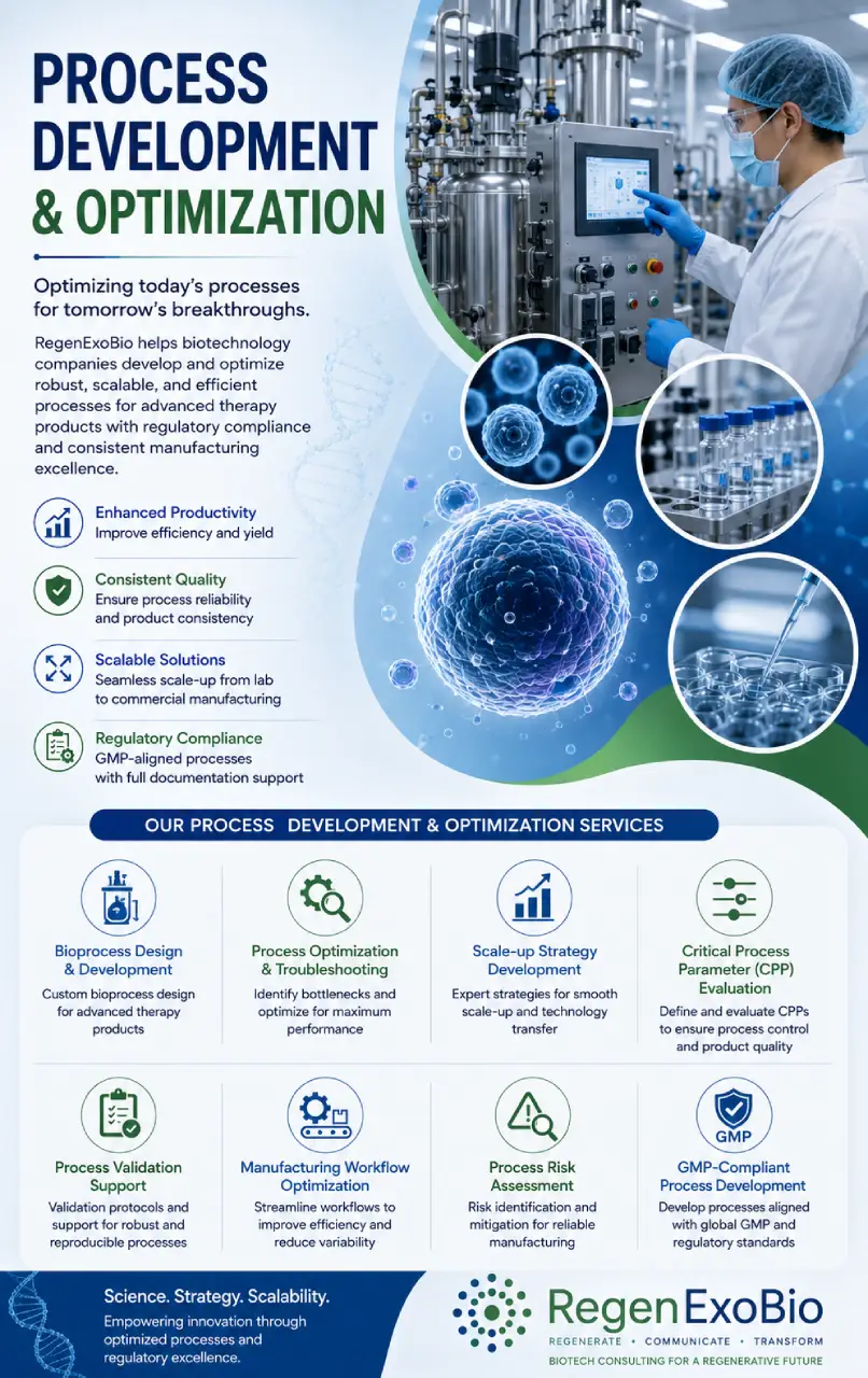 Process Development & Optimization